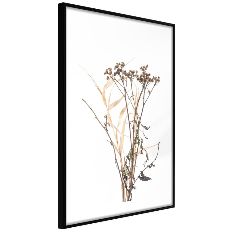 Wall Poster Chamomile - simple autumn composition with a botanical motif on a white background 119181 additionalImage 12