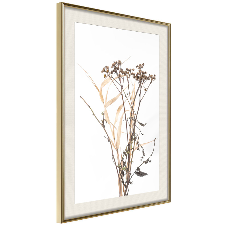 Wall Poster Chamomile - simple autumn composition with a botanical motif on a white background 119181 additionalImage 8
