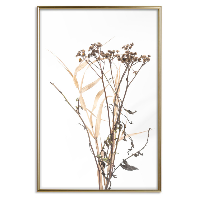 Wall Poster Chamomile - simple autumn composition with a botanical motif on a white background 119181 additionalImage 20