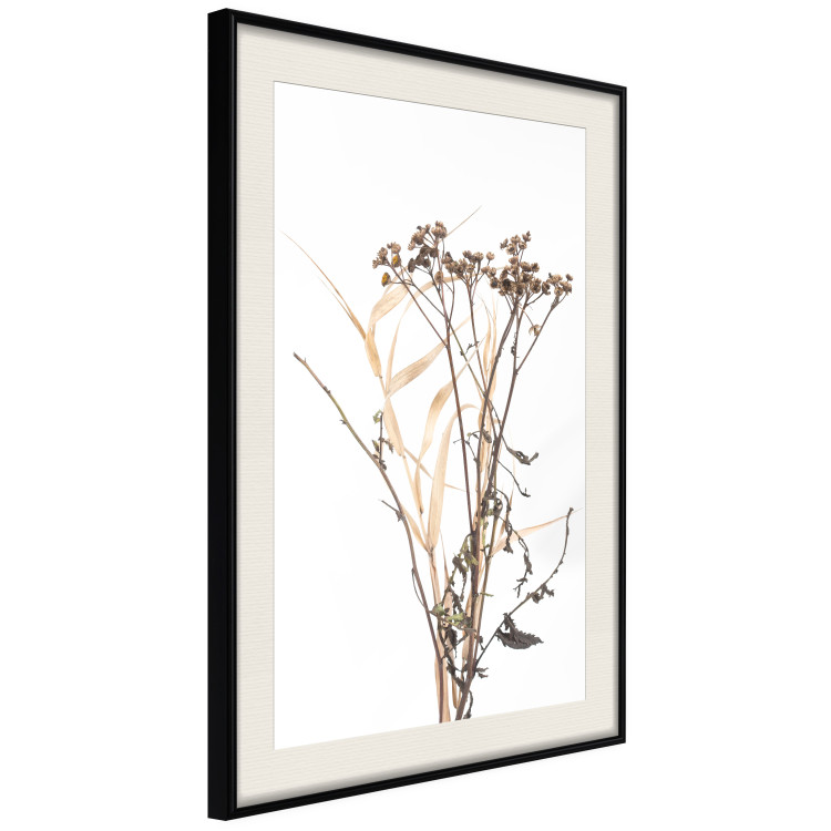 Wall Poster Chamomile - simple autumn composition with a botanical motif on a white background 119181 additionalImage 14