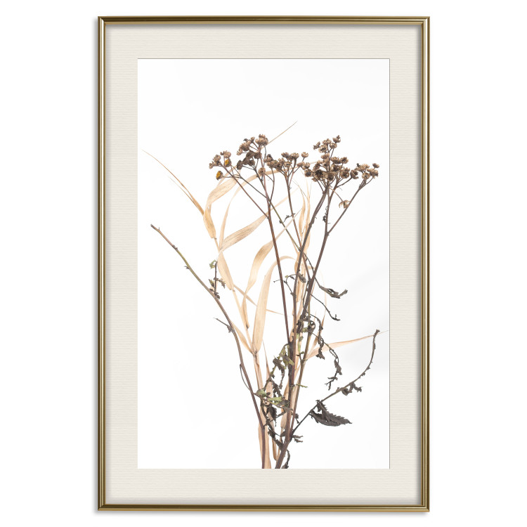 Wall Poster Chamomile - simple autumn composition with a botanical motif on a white background 119181 additionalImage 19