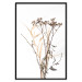 Wall Poster Chamomile - simple autumn composition with a botanical motif on a white background 119181 additionalThumb 18