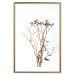Wall Poster Chamomile - simple autumn composition with a botanical motif on a white background 119181 additionalThumb 14