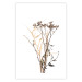 Wall Poster Chamomile - simple autumn composition with a botanical motif on a white background 119181 additionalThumb 19