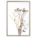 Wall Poster Chamomile - simple autumn composition with a botanical motif on a white background 119181 additionalThumb 20