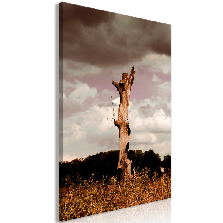 Canvas Art Print Trunk of a withered tree - photo of nature against the clouds and sky 124381 additionalImage 2
