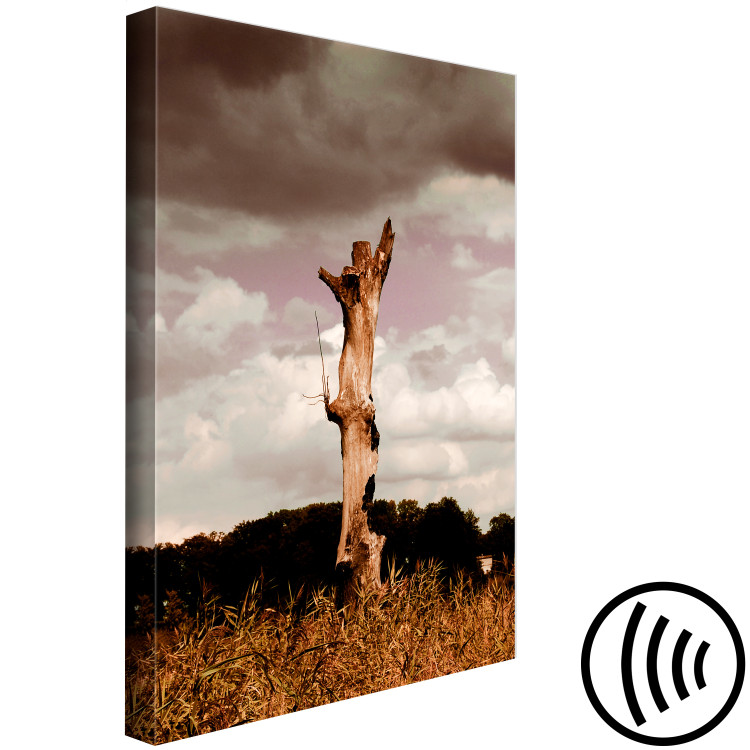Canvas Art Print Trunk of a withered tree - photo of nature against the clouds and sky 124381 additionalImage 6