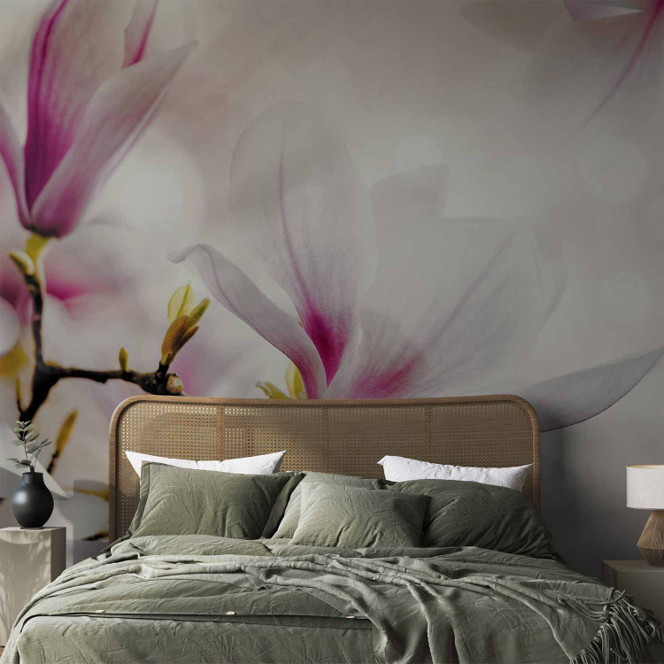 Photo Wallpaper Subtle Magnolias - Third Variant 126181 additionalImage 2