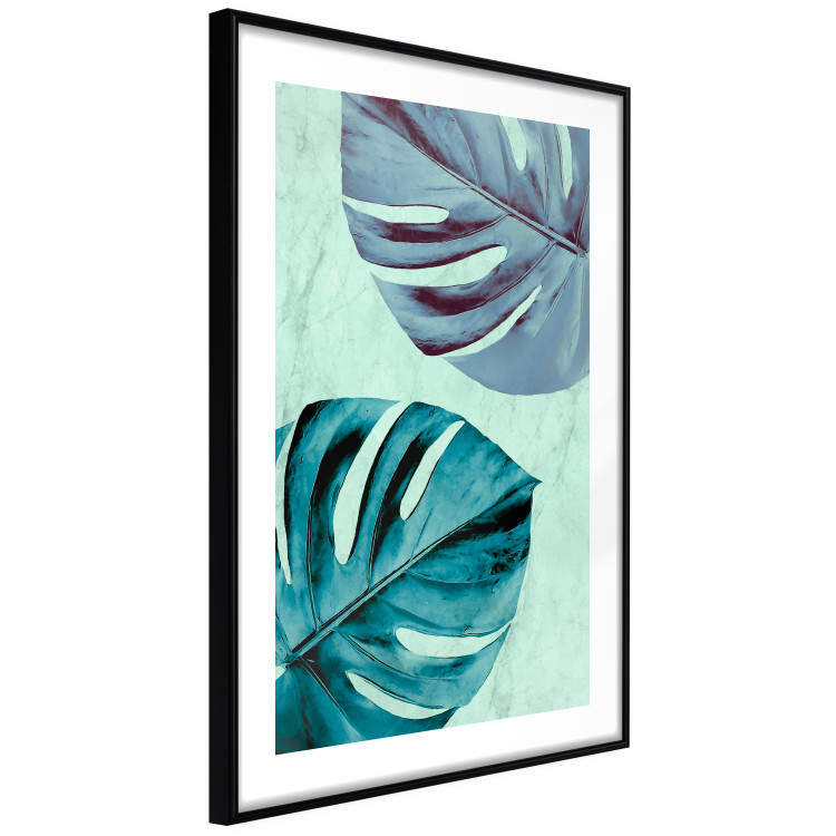 Poster Tropical Turquoise - green monstera leaves in turquoise composition 127881 additionalImage 8