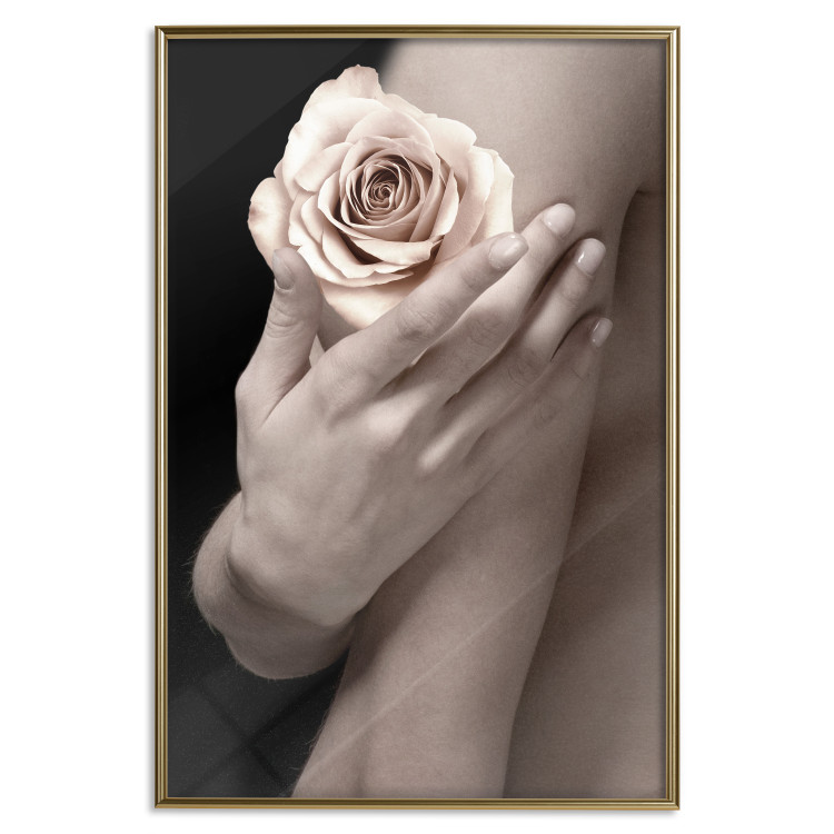 Wall Poster Subtle Fragrance - woman's hand holding rose flower on black background 128081 additionalImage 21