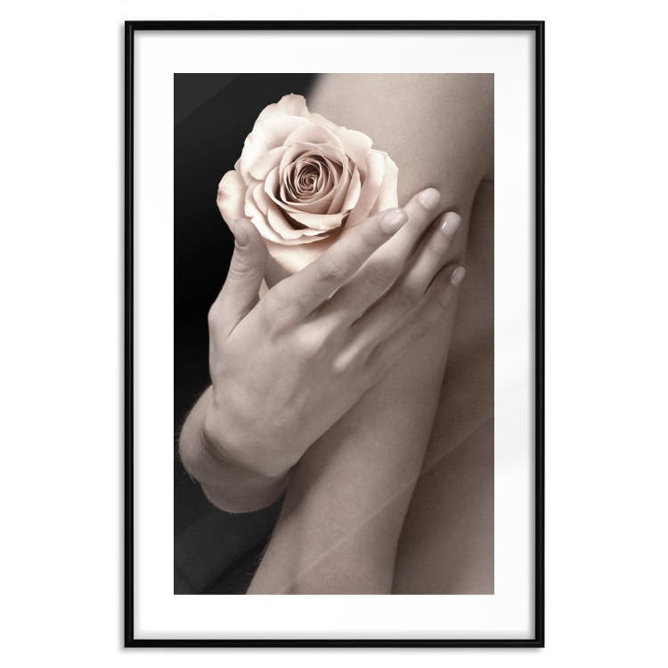Wall Poster Subtle Fragrance - woman's hand holding rose flower on black background 128081 additionalImage 17