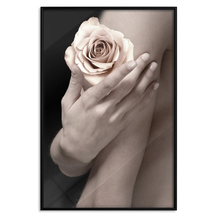 Wall Poster Subtle Fragrance - woman's hand holding rose flower on black background 128081 additionalImage 16