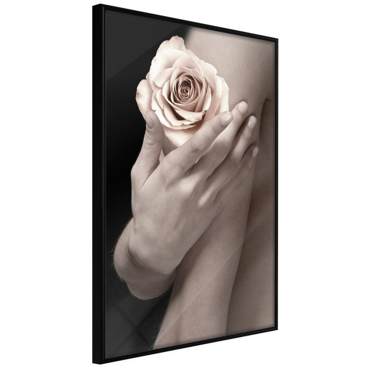 Wall Poster Subtle Fragrance - woman's hand holding rose flower on black background 128081 additionalImage 13