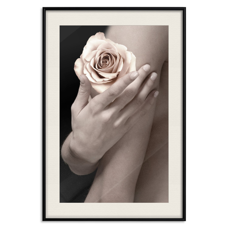 Wall Poster Subtle Fragrance - woman's hand holding rose flower on black background 128081 additionalImage 19