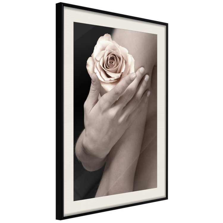 Wall Poster Subtle Fragrance - woman's hand holding rose flower on black background 128081 additionalImage 2