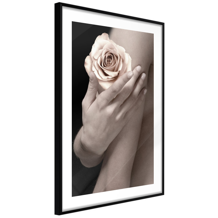 Wall Poster Subtle Fragrance - woman's hand holding rose flower on black background 128081 additionalImage 6