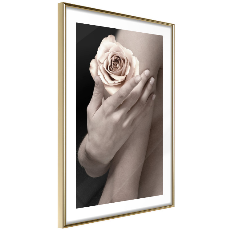 Wall Poster Subtle Fragrance - woman's hand holding rose flower on black background 128081 additionalImage 9