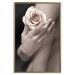 Wall Poster Subtle Fragrance - woman's hand holding rose flower on black background 128081 additionalThumb 17