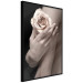 Wall Poster Subtle Fragrance - woman's hand holding rose flower on black background 128081 additionalThumb 13