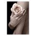 Wall Poster Subtle Fragrance - woman's hand holding rose flower on black background 128081