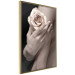 Wall Poster Subtle Fragrance - woman's hand holding rose flower on black background 128081 additionalThumb 14