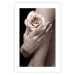 Wall Poster Subtle Fragrance - woman's hand holding rose flower on black background 128081 additionalThumb 25