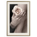 Wall Poster Subtle Fragrance - woman's hand holding rose flower on black background 128081 additionalThumb 20