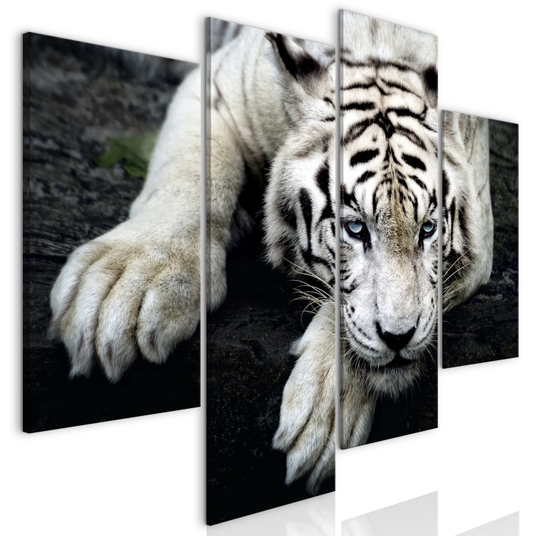 Canvas Print Menacing Look (4-part) - first variant - exotic cat 128781 additionalImage 2