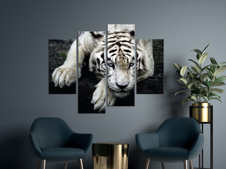 Canvas Print Menacing Look (4-part) - first variant - exotic cat 128781 additionalImage 3