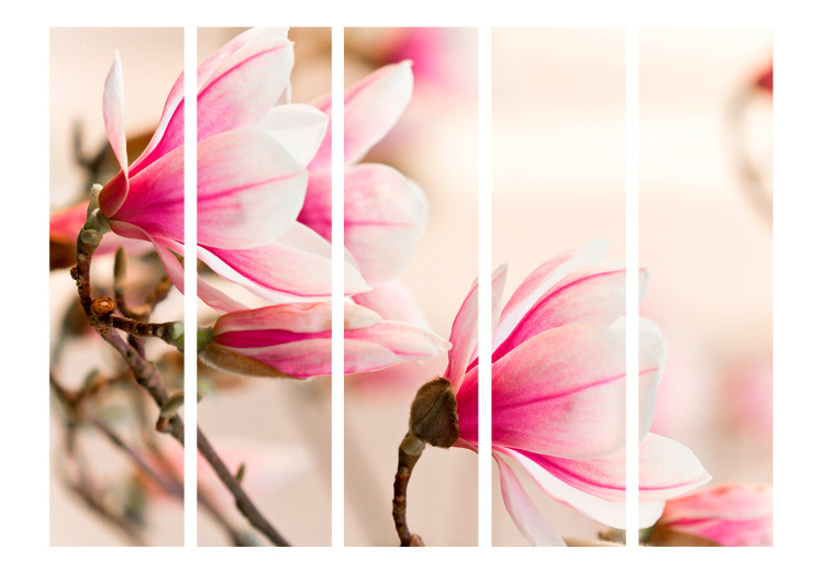 Folding Screen Branch of Magnolia Tree II (5-piece) - pink flowers on a light background 132781 additionalImage 3