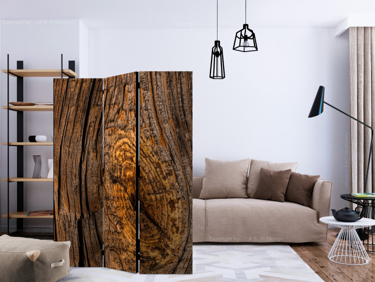 Room Divider Old Tree (3-piece) - brown composition with wood texture 132881 additionalImage 4