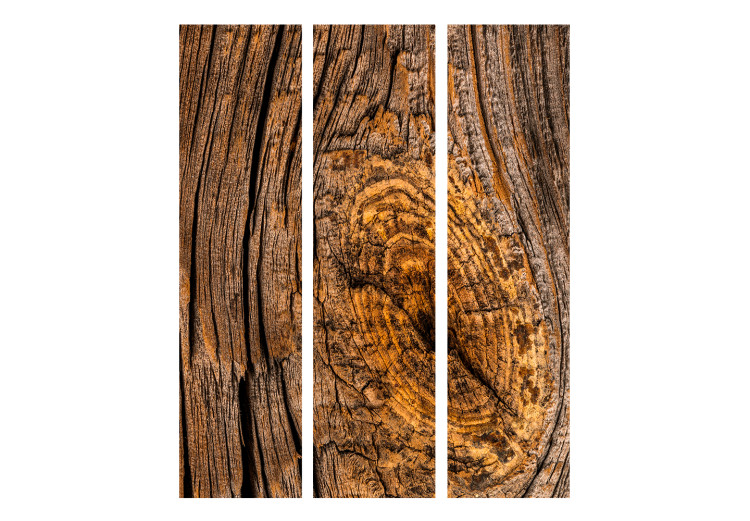 Room Divider Old Tree (3-piece) - brown composition with wood texture 132881 additionalImage 3