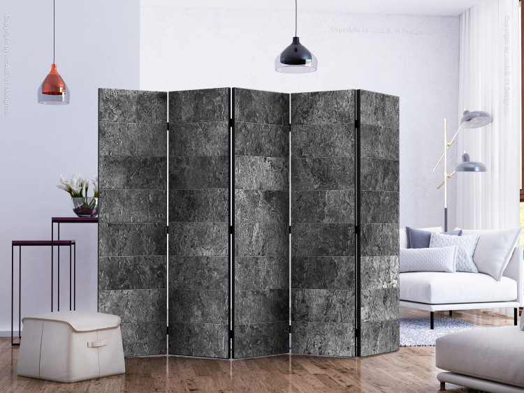 Folding Screen Shades of Gray II (5-piece) - simple composition in dark stone 133181 additionalImage 2