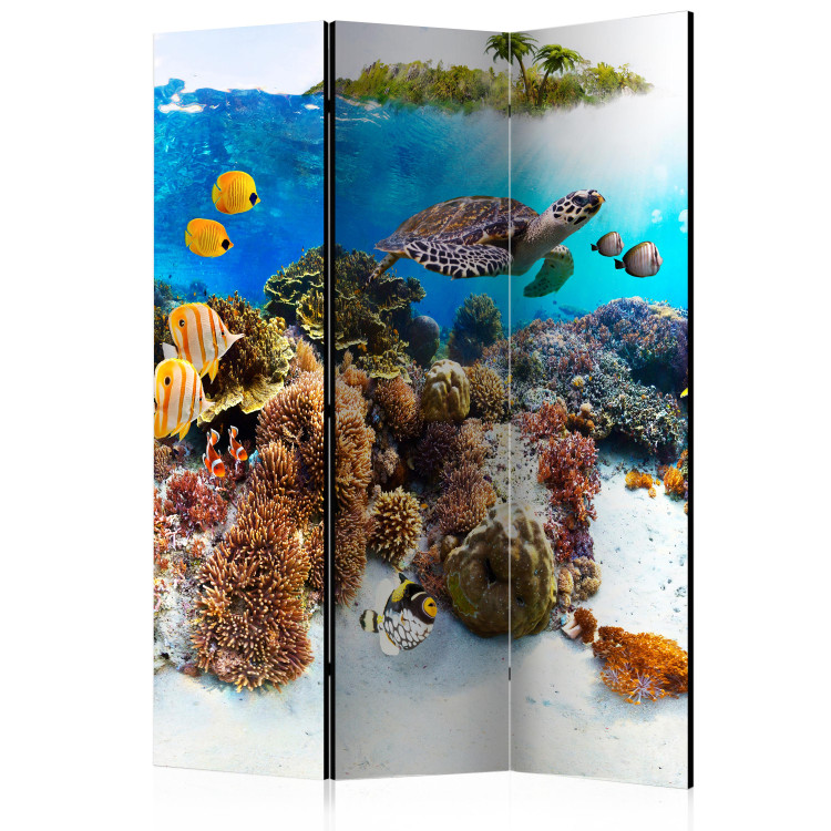 Room Separator Coral Reef (3-piece) - colorful fish and plants at the bottom of the ocean 133381