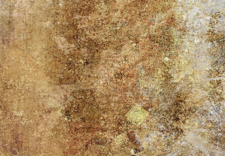 Canvas Gold fog - Abstraction with blurry colors of gold, copper and beige 135081 additionalImage 4