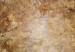 Canvas Gold fog - Abstraction with blurry colors of gold, copper and beige 135081 additionalThumb 5