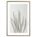 Wall Poster Plant Myriad - unique composition with a white plant on a light background 137281 additionalThumb 10