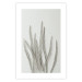 Wall Poster Plant Myriad - unique composition with a white plant on a light background 137281 additionalThumb 16