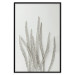 Wall Poster Plant Myriad - unique composition with a white plant on a light background 137281 additionalThumb 15