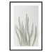 Wall Poster Plant Myriad - unique composition with a white plant on a light background 137281 additionalThumb 9