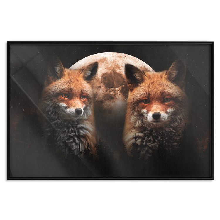 Poster Forest Couple - Two Foxes and the Moon Against the Night, Starry Sky 144781 additionalImage 23