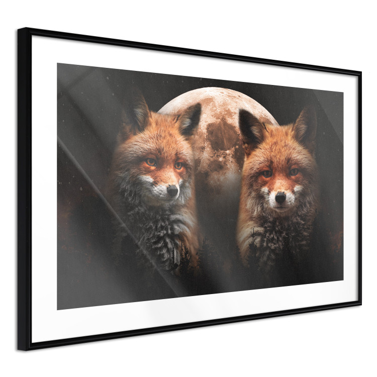 Poster Forest Couple - Two Foxes and the Moon Against the Night, Starry Sky 144781 additionalImage 6