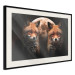 Poster Forest Couple - Two Foxes and the Moon Against the Night, Starry Sky 144781 additionalThumb 8
