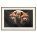 Poster Forest Couple - Two Foxes and the Moon Against the Night, Starry Sky 144781 additionalThumb 24