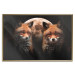 Poster Forest Couple - Two Foxes and the Moon Against the Night, Starry Sky 144781 additionalThumb 18