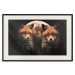 Poster Forest Couple - Two Foxes and the Moon Against the Night, Starry Sky 144781 additionalThumb 27