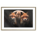 Poster Forest Couple - Two Foxes and the Moon Against the Night, Starry Sky 144781 additionalThumb 26