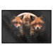 Poster Forest Couple - Two Foxes and the Moon Against the Night, Starry Sky 144781 additionalThumb 23