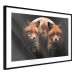 Poster Forest Couple - Two Foxes and the Moon Against the Night, Starry Sky 144781 additionalThumb 6
