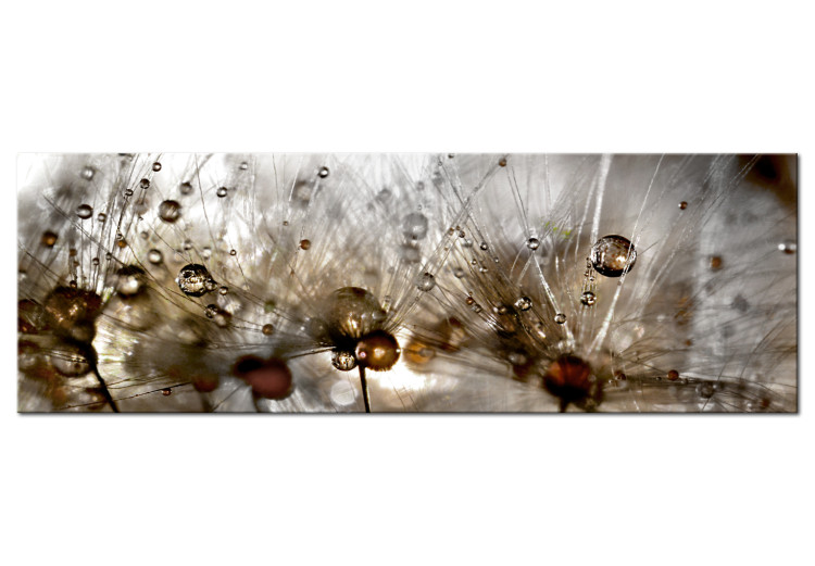 Large canvas print Drops of Water III [Large Format] 148981